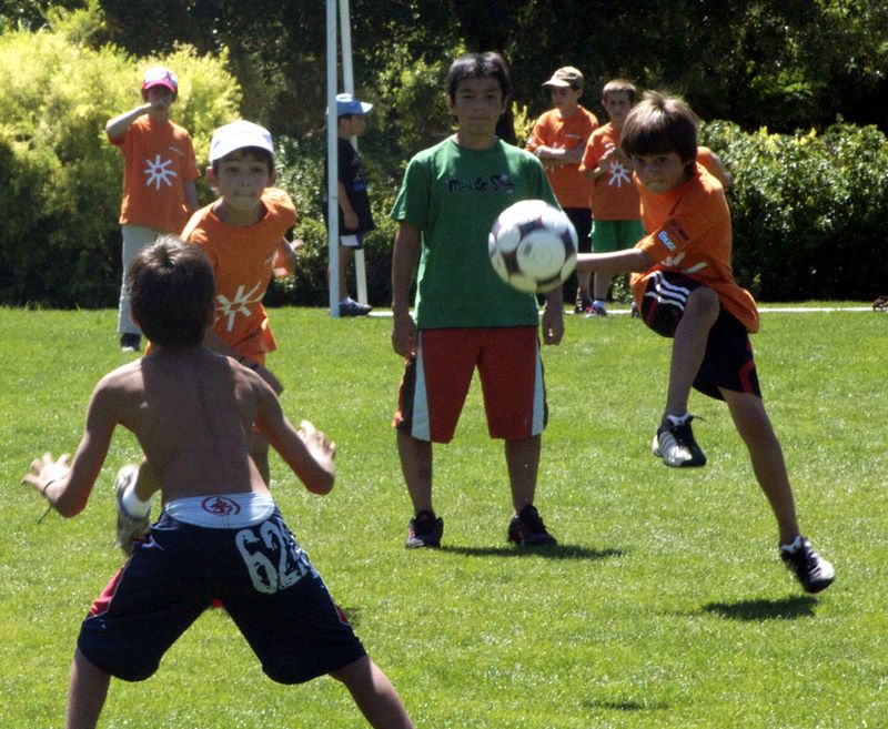 7.jpg (large)
